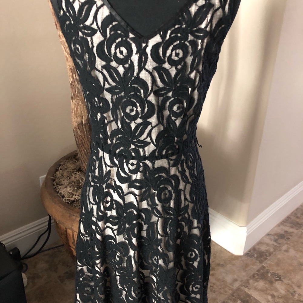 Tahari Black/Cream Lace Dress - Picture 5 of 8